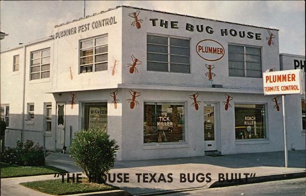 The House Texas Bugs Built Galveston