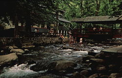 Carr's Northside Cottages Gatlinburg, TN Postcard Postcard