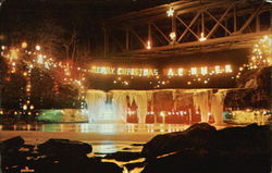 Annual Christmas Lighting Postcard