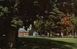 Municipal Building and Park Fair Haven, VT Postcard Postcard