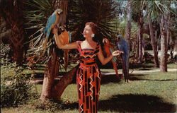 Parrots Paradise, Ormond-Daytona Beach Postcard
