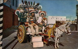 Colorful Donkey Carts Postcard