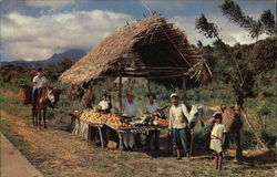 A Typical Native Fruitstand Panama Postcard Postcard