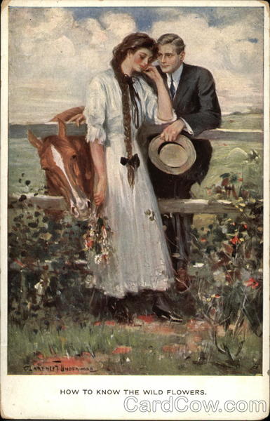 How To Know The Wild Flowers Clarence Underwood Artist Signed