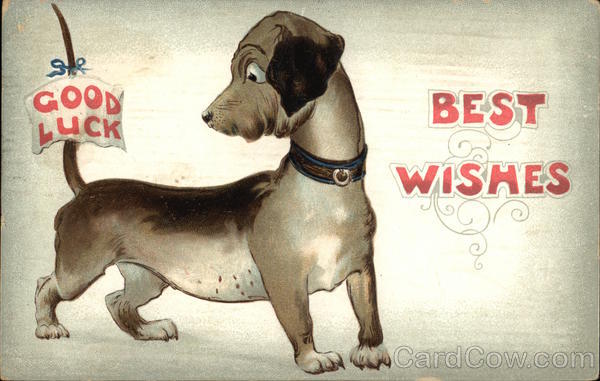 Good Luck, Best Wishes Dogs