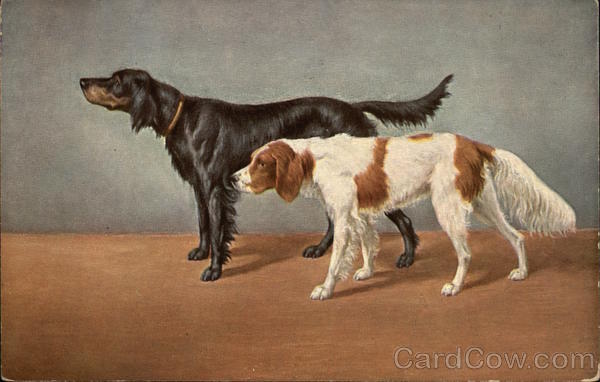 Two Dogs