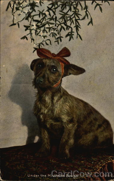 Under the Mistletoe Bough Dogs