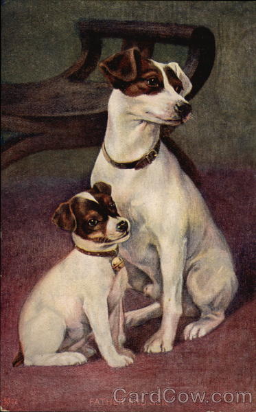 Two Dogs