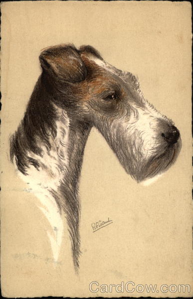 Wire-Haired Fox Terrier Dogs