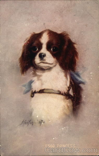 Spaniel - Princess Dogs