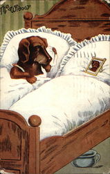 Dog in Bed - "The Widow" Postcard
