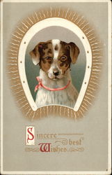 Sincere Best Wishes - Dog ansd Horseshoe Postcard
