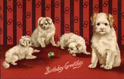 Birthday Greetings - White Dogs Postcard