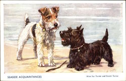 Wire Fox Terrier and Scotch Terrier - Seaside Acquaintances Scottish Terriers Postcard Postcard