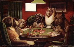 Five Dogs at Table Playing Poker Postcard