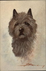 Cairn Terrier Postcard