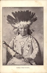 Indian Chief Gotebo Native Americana Postcard Postcard