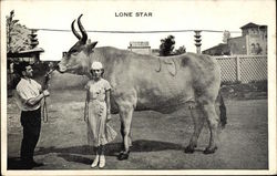 Lone Star Postcard