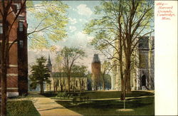 Harvard Grounds Postcard