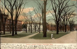 Harvard College - Campus Cambridge, MA Postcard Postcard