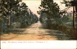 New Hanover County, Public Road Wilmington, NC Postcard Postcard