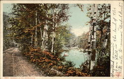 Roadway in the Adirondacks Postcard