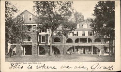 View of The Homestead Postcard