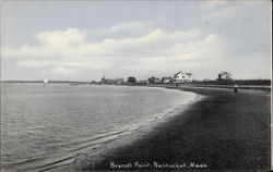 Brandt Point Brandt Point