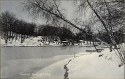 Winter Scene, Central Park Postcard
