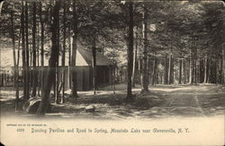 Dancing Pavilion and Road to Spring, Mountain Lake Postcard