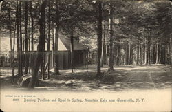 Dancing Pavilion and Road to Spring, Mountain Lake Gloversville, NY Postcard Postcard