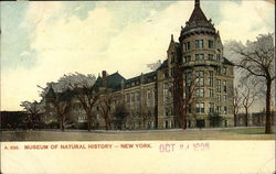 Museum of Natural History Postcard