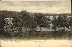 From the Hill near Gray's Castle White Lake, NY Postcard Postcard