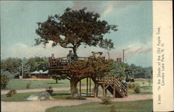 In the Shade of the Old Apple Tree, Canobie Lake Park Postcard