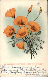 California Poppy "Copa de Oro" (Cup of Gold) Flowers Postcard Postcard