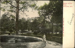 Scene in City Park Postcard