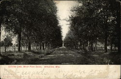 Lovers Lane, West Park Drive Postcard