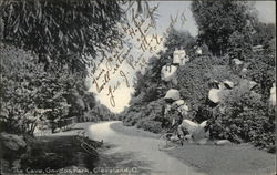 The Cave, Gordon Park Postcard