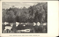 Early Morning Scene, Row Ponds Camps Bingham, ME Postcard Postcard