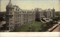 Museum of Natural History Postcard