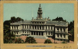 View of City Hall Postcard