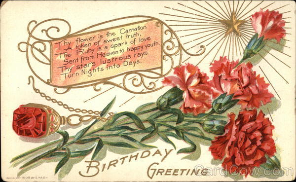 Birthday Greetings with Carnation & Ruby