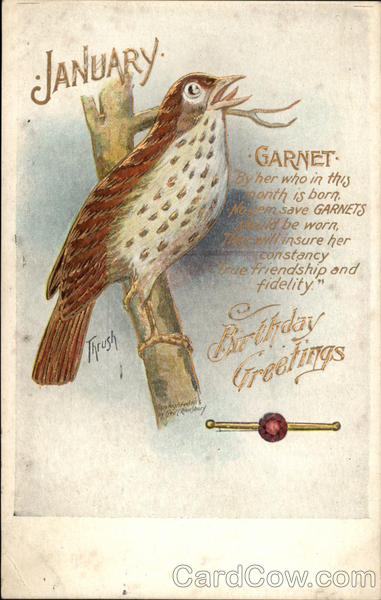 January Birthday Greetings with Thrush on Branch