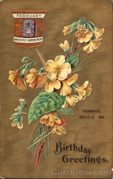 February Birthday Greetings with Amethyst & Primroses