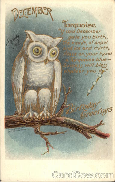 December Birthday Greetings with Snowy Owl on Branch