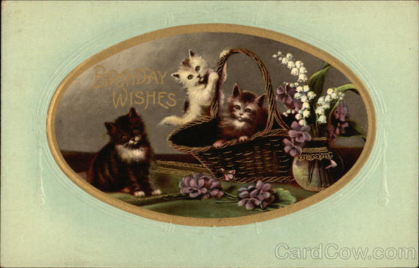 Birthday Wishes Cats