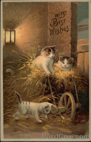 Three Kittens Playing in Hay Cats
