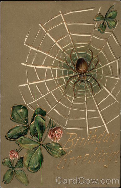 Spider on Web with Clover Birthday