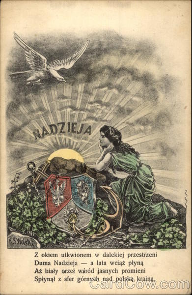 Polish Coat of Arms Patriotic