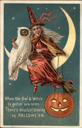 When the Owl & Witch Together are Seen, There's Mischief Brewing on Halloween Postcard